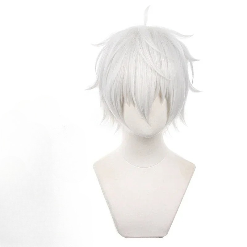 Anime Seishiro Nagi Cosplay Wi - Cosplay Anime White Hair review and price