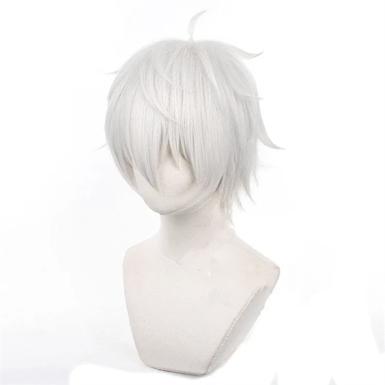 Anime Seishiro Nagi Cosplay Wi - Cosplay Anime White Hair review and price