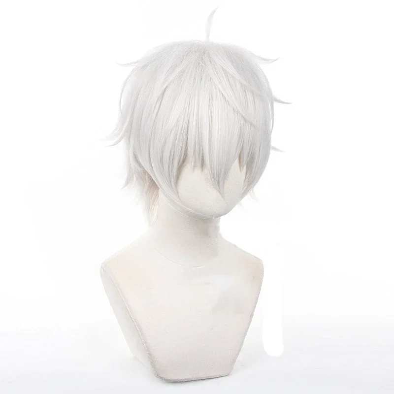Anime Seishiro Nagi Cosplay Wi - Cosplay Anime White Hair review and price