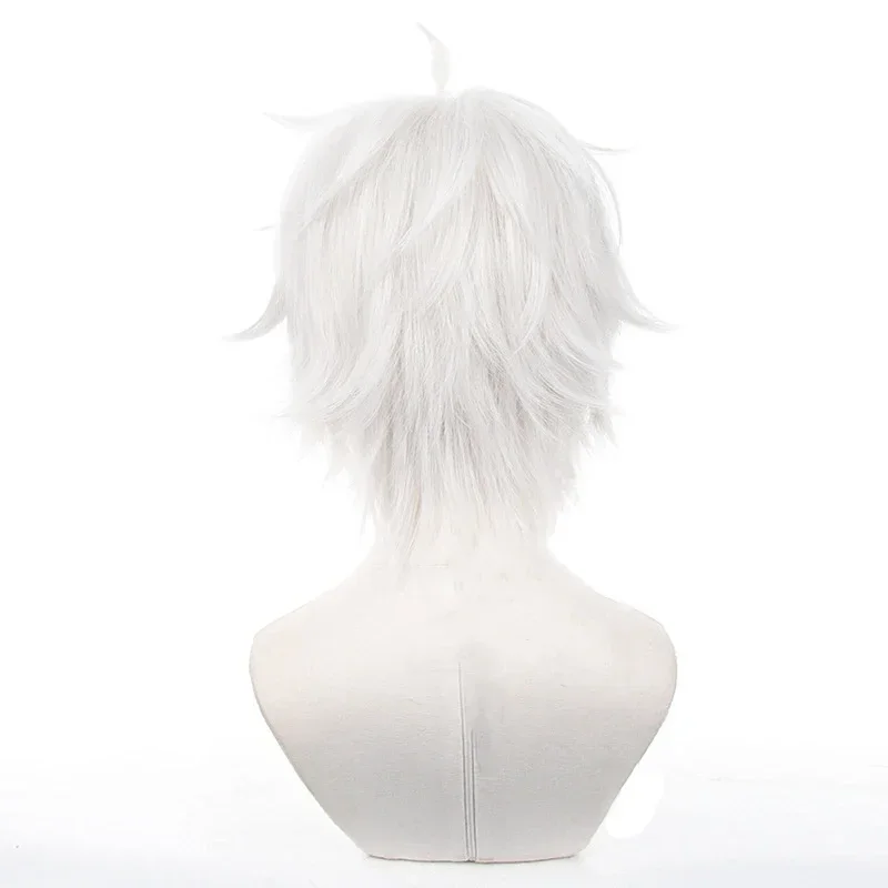 Anime Seishiro Nagi Cosplay Wi - Cosplay Anime White Hair review and price