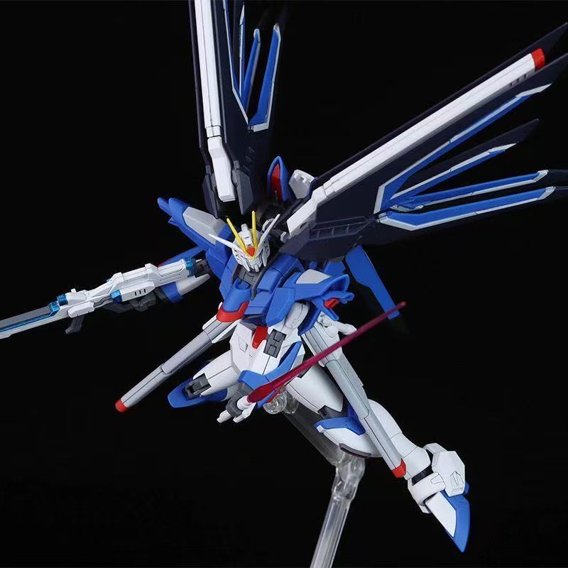 HG STTS-909 Rising Freedom Gun - Bandai Gundam Hg review and price